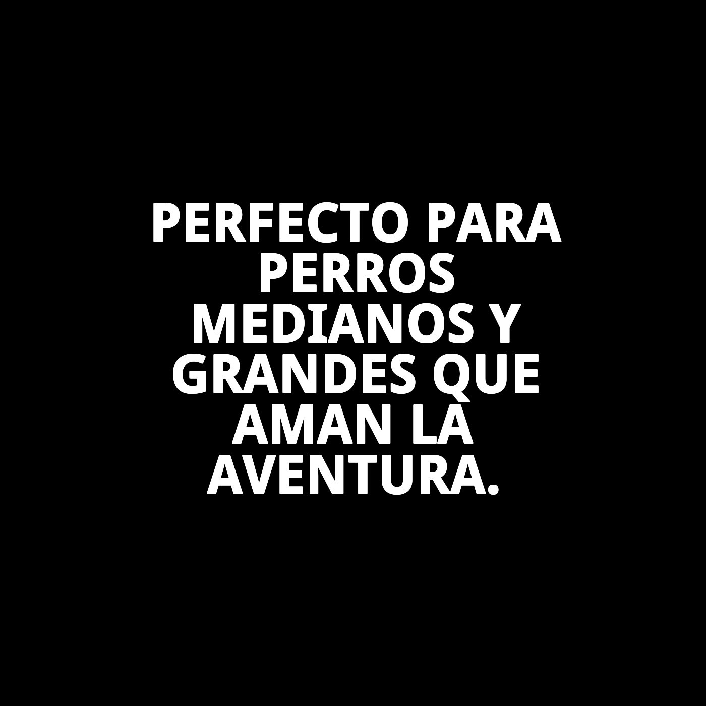 Correa Extensible Flexi New Classic M/L 5 m Cordón | Control y Libertad para Perros Medianos y Grandes