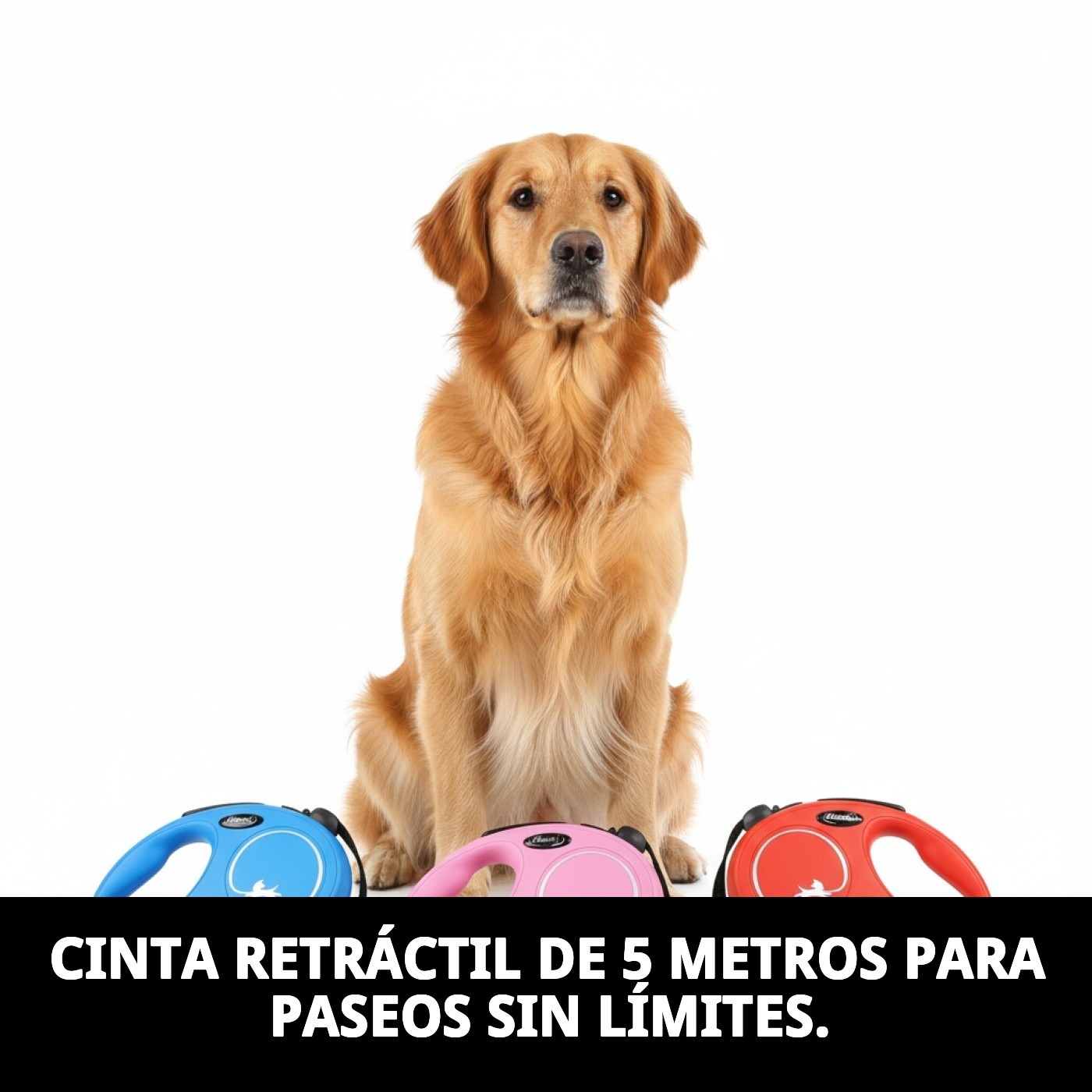 Correa Extensible Flexi New Classic S 5 m Cinta | Control y Libertad para Perros Pequeño
