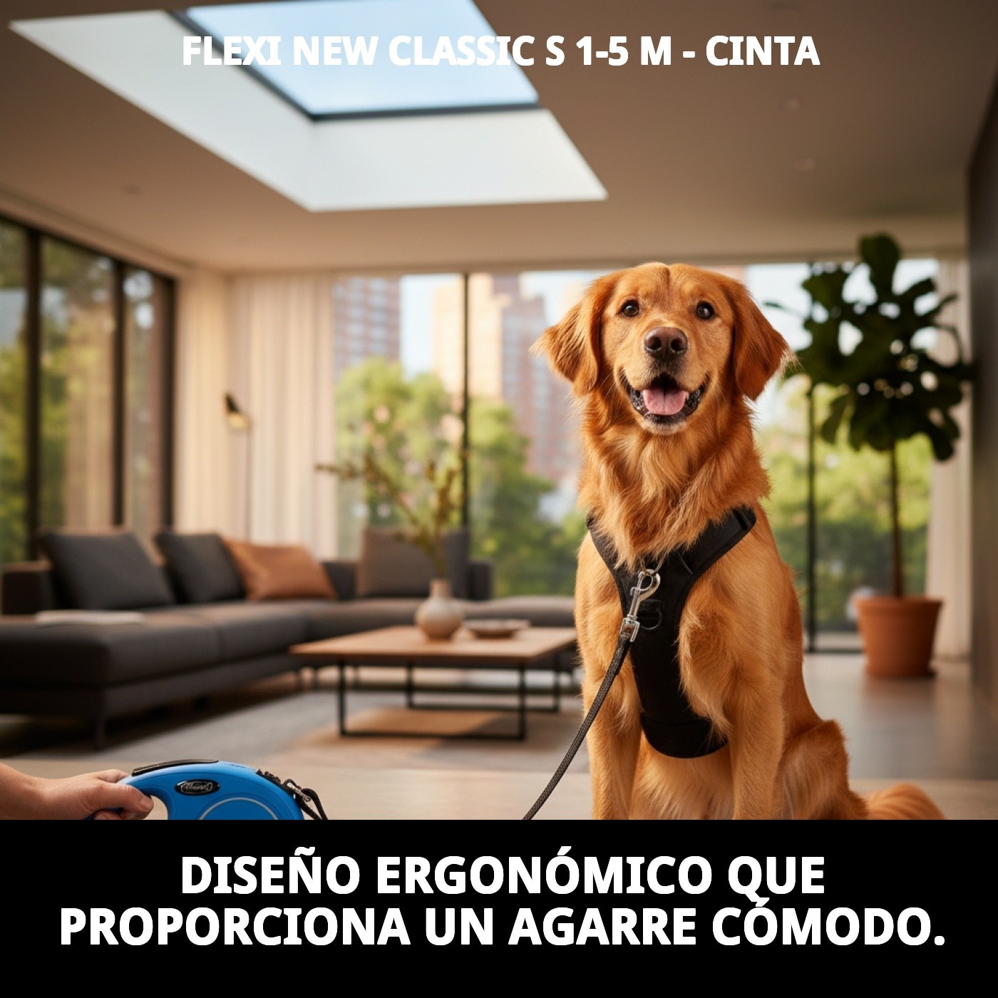 Correa Extensible Flexi New Classic S 5 m Cinta | Control y Libertad para Perros Pequeño