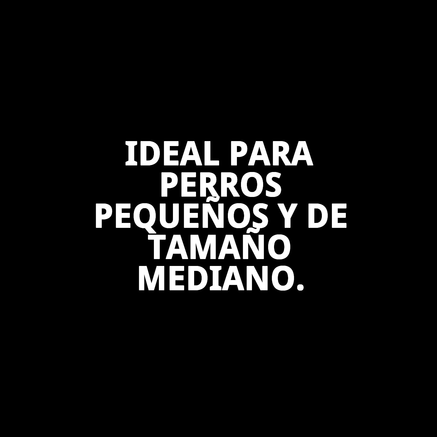 Correa Extensible Flexi New Classic S 5 m Cordón | Control Seguro y Libertad de Movimiento