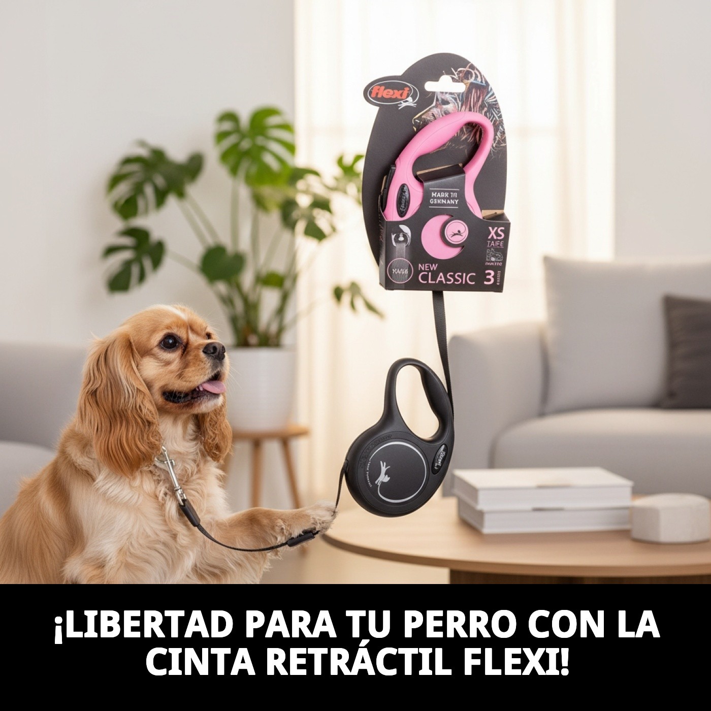 Correa Extensible Flexi New Classic XS 3 m Cinta | Control y Libertad