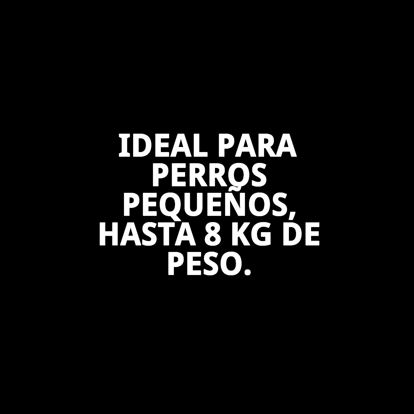 Correa Extensible Flexi New Classic XS 3 m Cinta | Control y Libertad