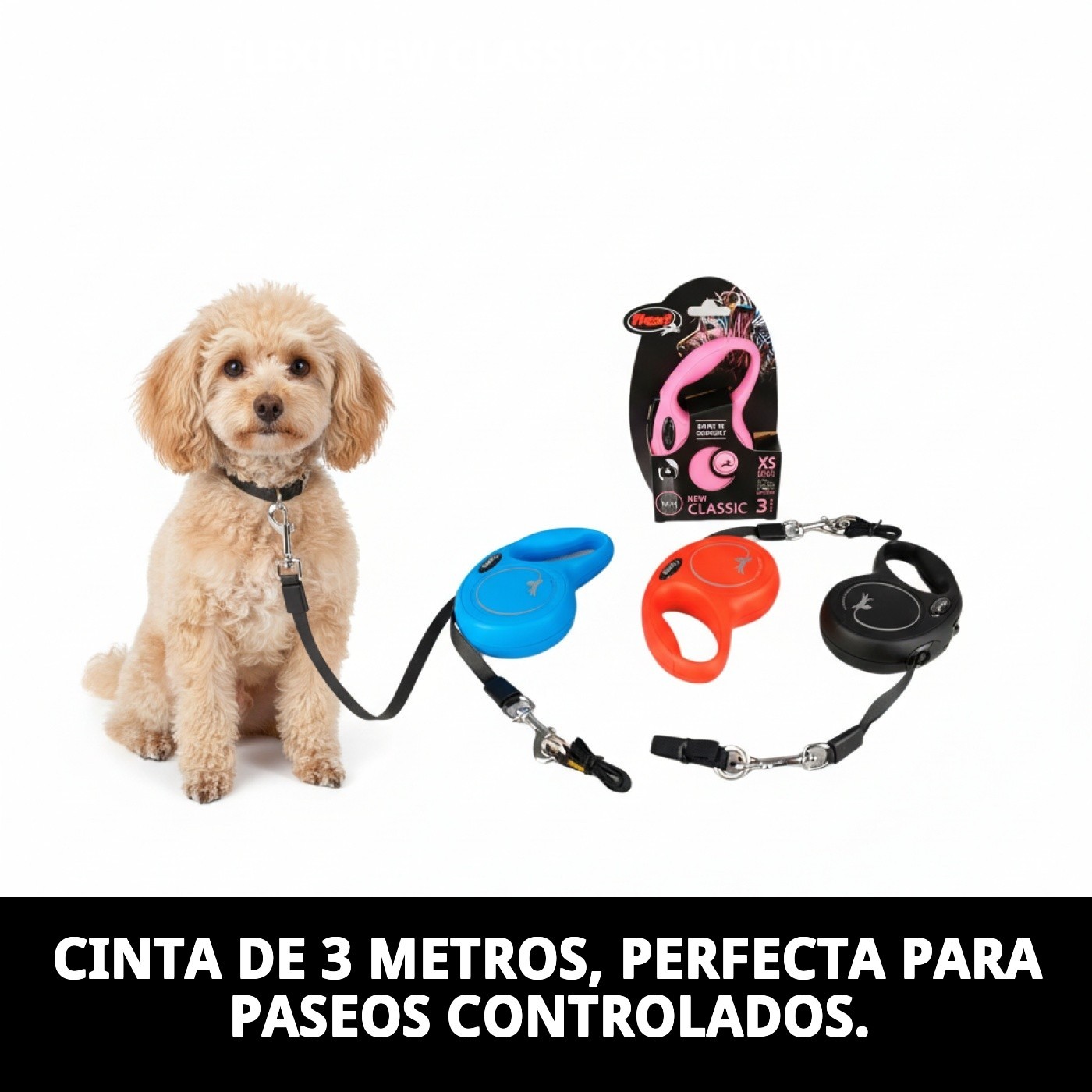 Correa Extensible Flexi New Classic XS 3 m Cinta | Control y Libertad