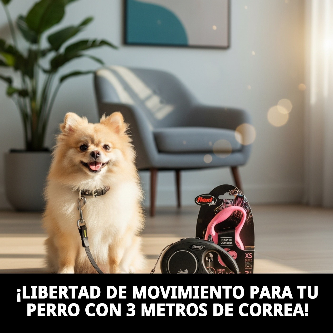 Correa Extensible Flexi New Classic XS 3 m Cordón | Ligera y Segura para Perros Pequeños