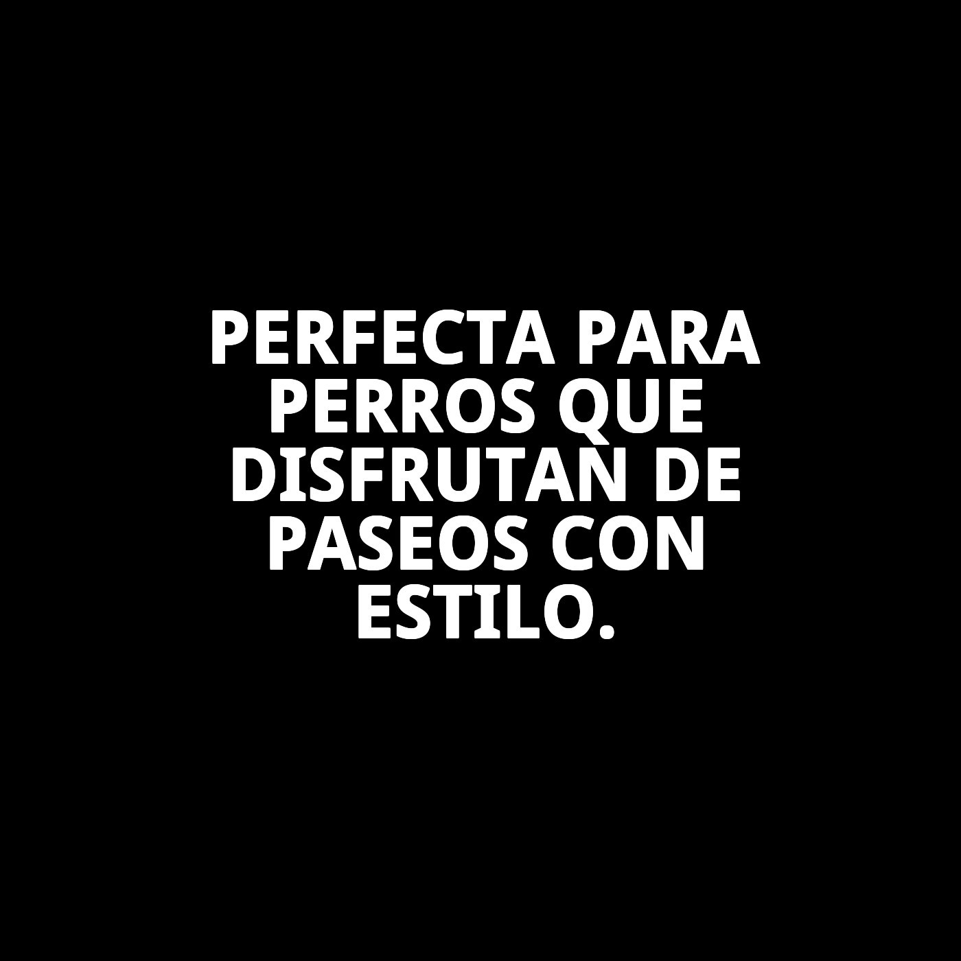 CORREA PIEL LUXURY JOYA 120 CM