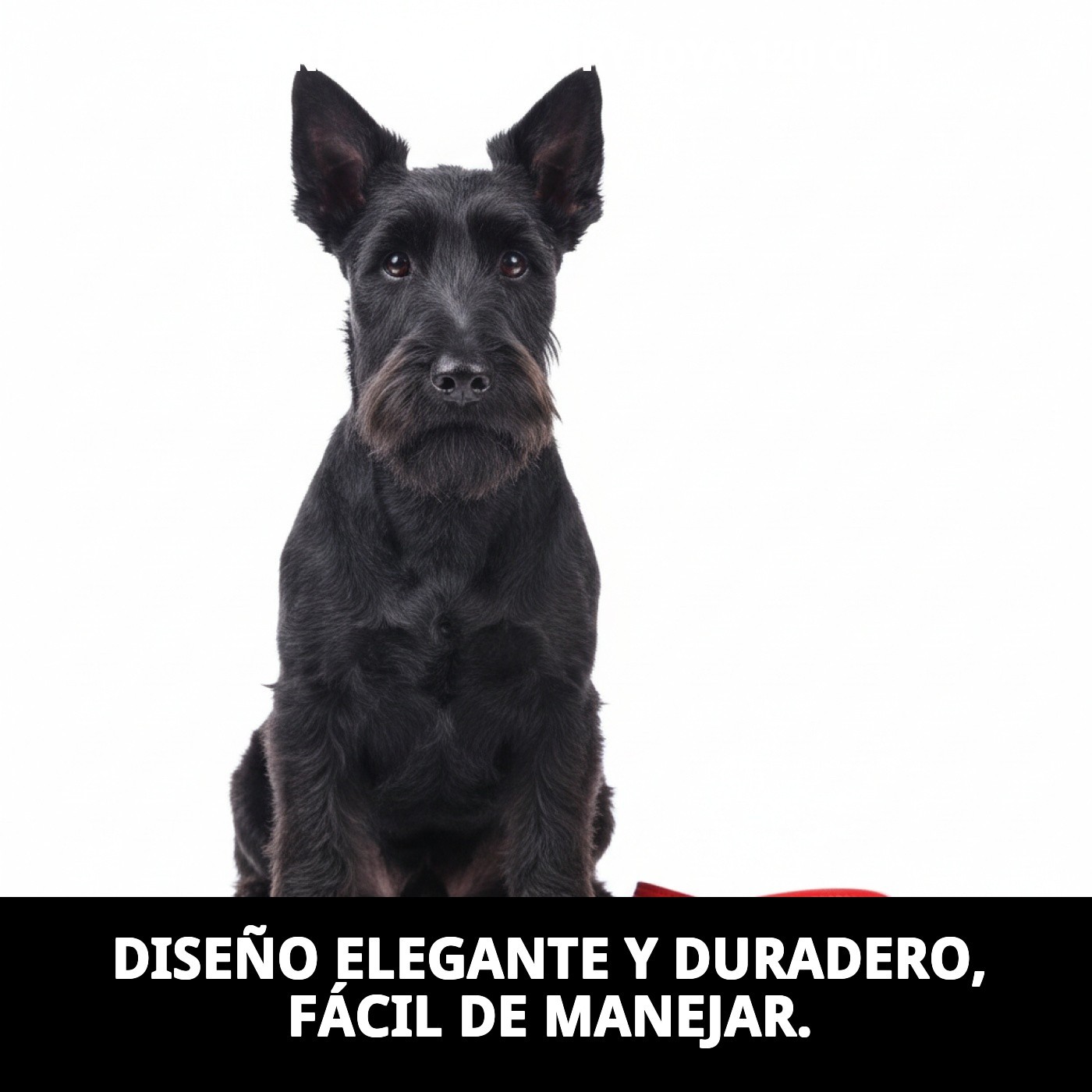 CORREA PIEL LUXURY JOYA 120 CM