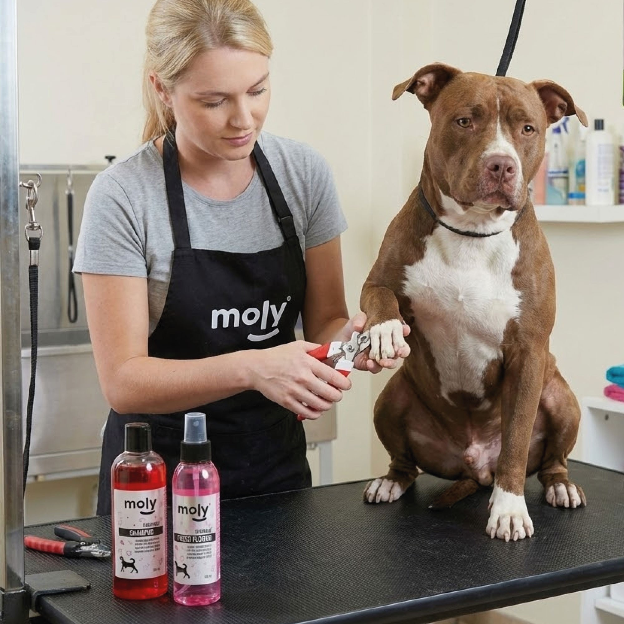 Cortauñas Grande Moly Confort con Sistema de Seguridad | Corte Preciso y Seguro para Perros Grandes