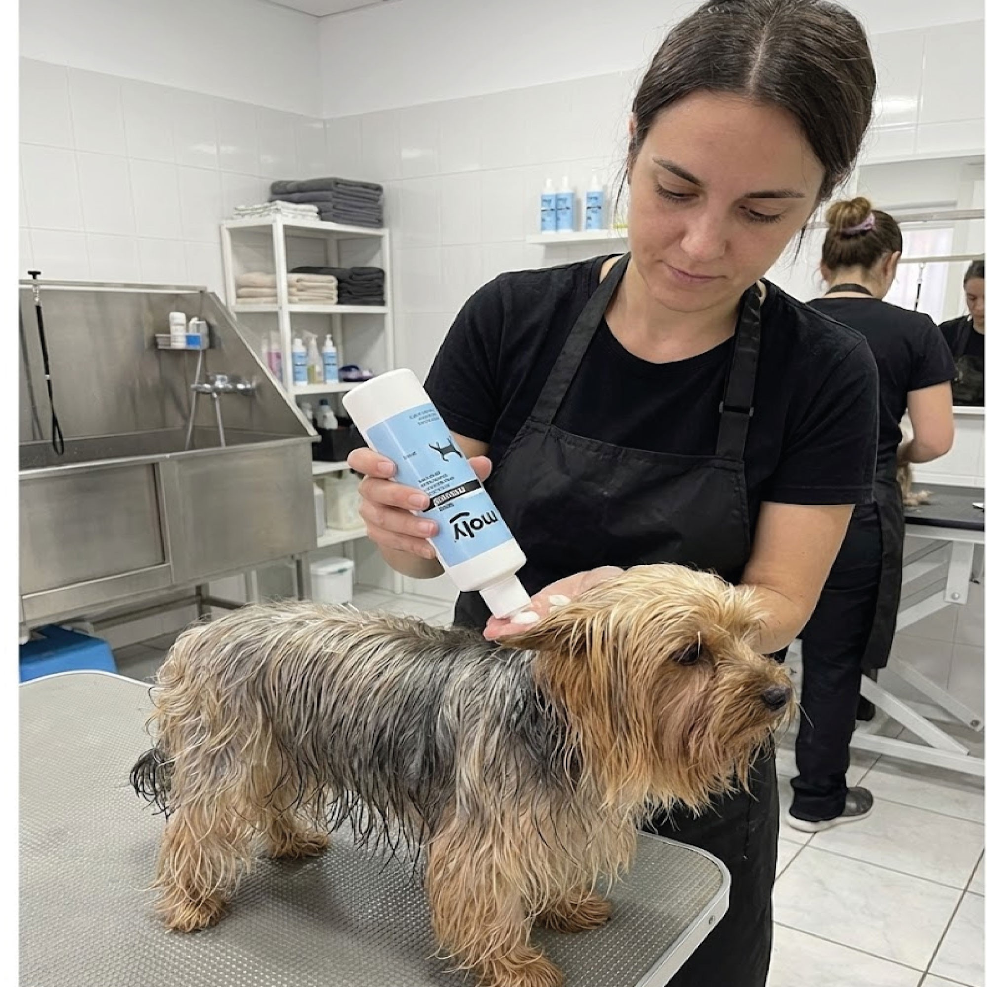 Crema Suavizante 250 ml Moly | Acondicionador Hidratante para Pelos Secos y Enredados