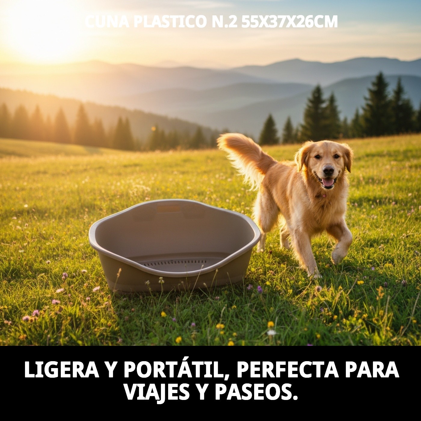 CUNA PLASTICO N.2 55X37X26cm