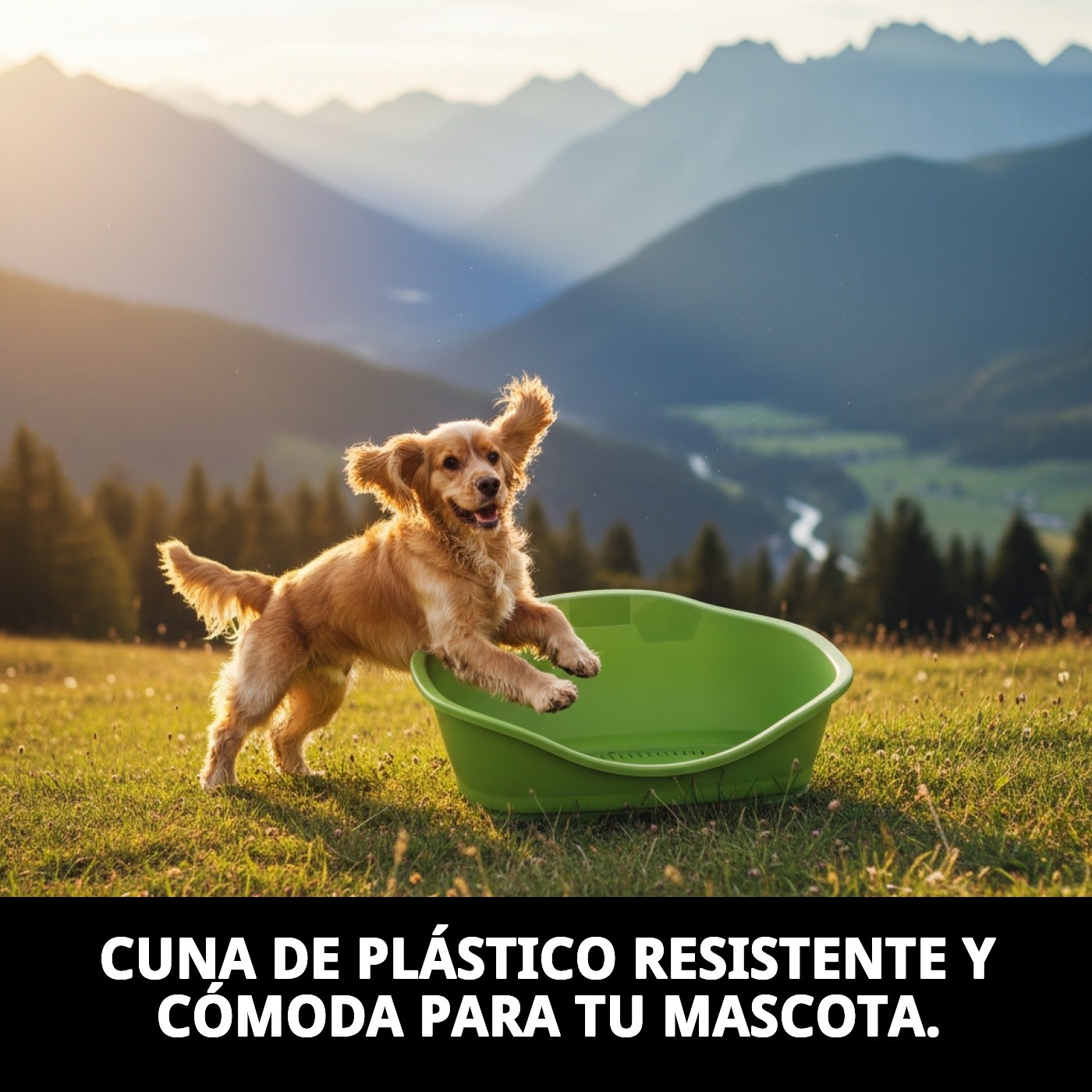 CUNA PLASTICO N.3 65X42X30cm