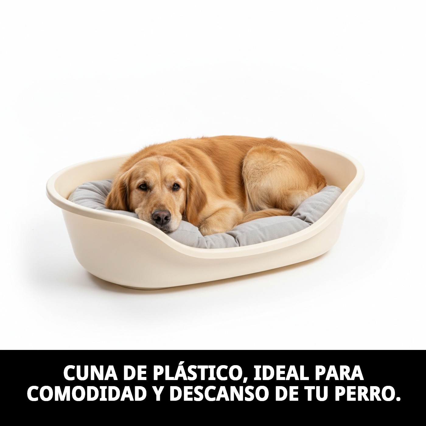 CUNA PLASTICO N.4 71X48X33cm