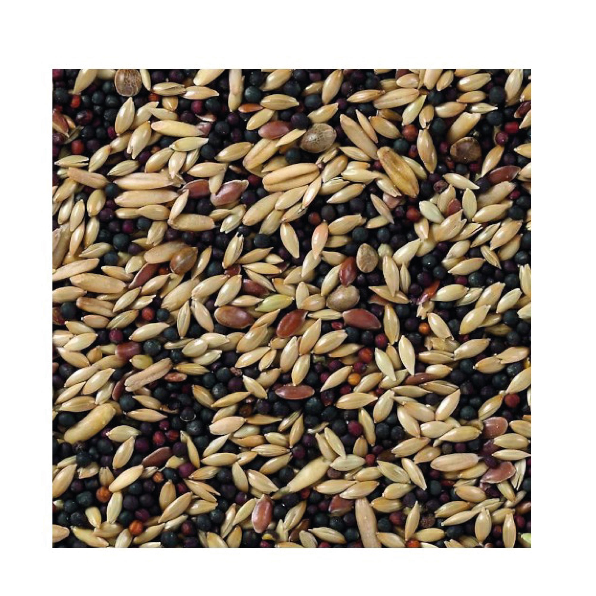 Deli Nature Canaris Base 20 kg