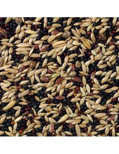 Deli Nature Canaris Base 20 kg