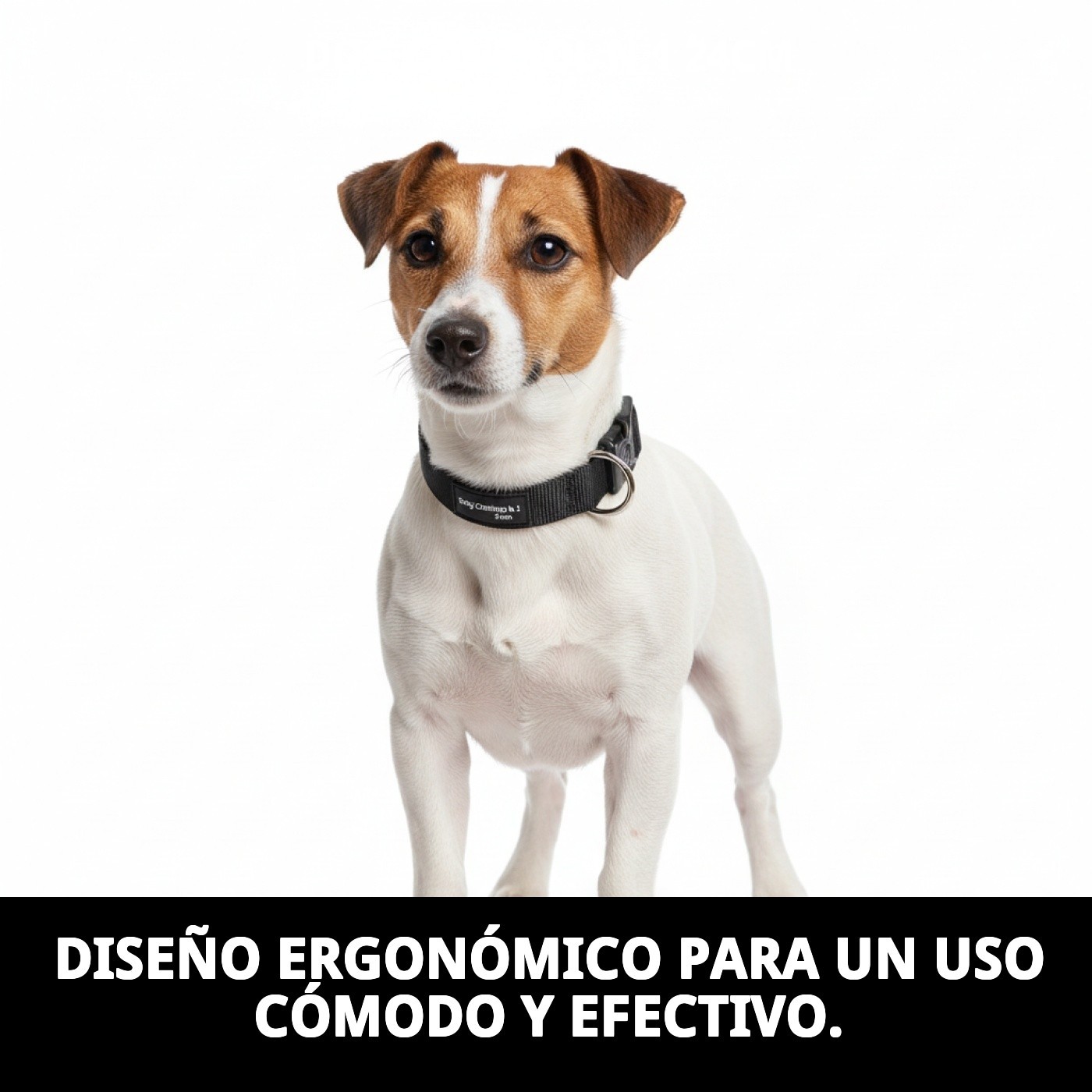 DOG CONTROL N.1 24cm