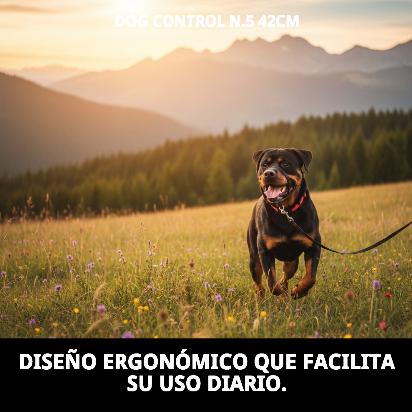 DOG CONTROL N.5 42cm