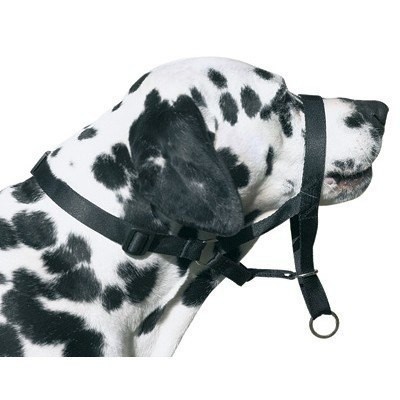 DOG CONTROL N.7 BOXER 54cm