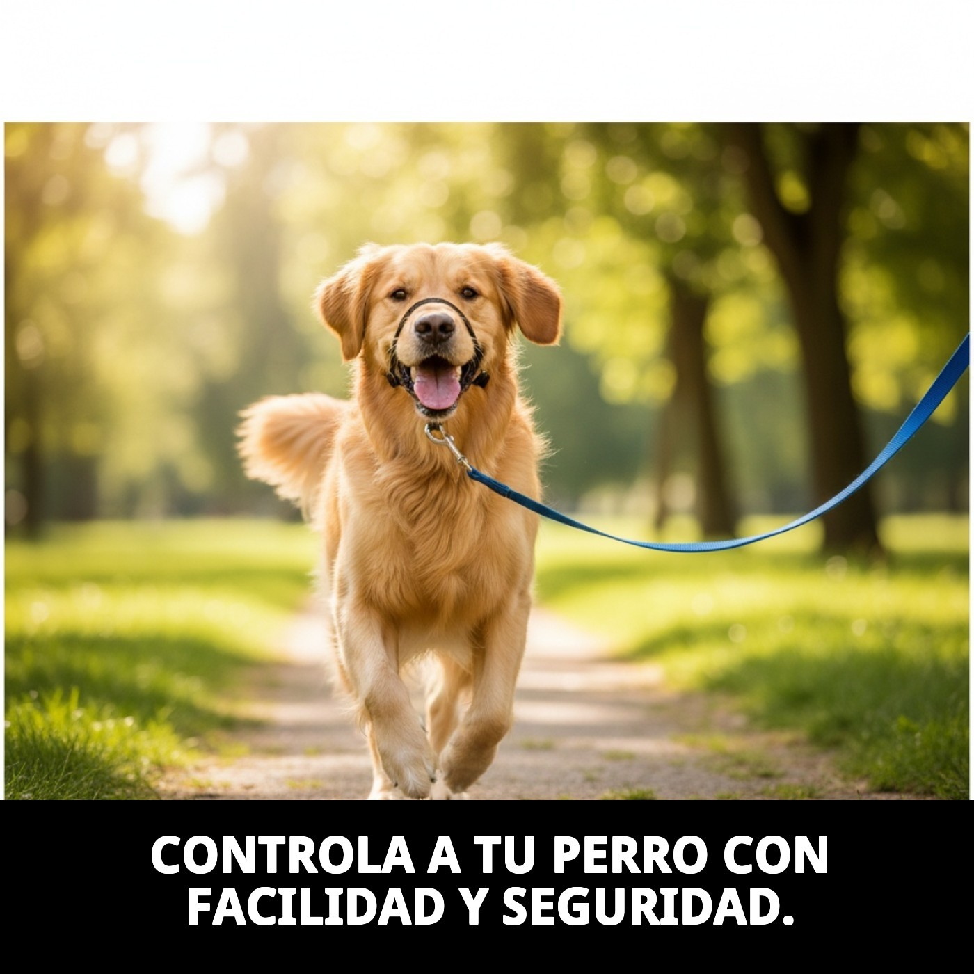 DOG CONTROL N3 32 CM