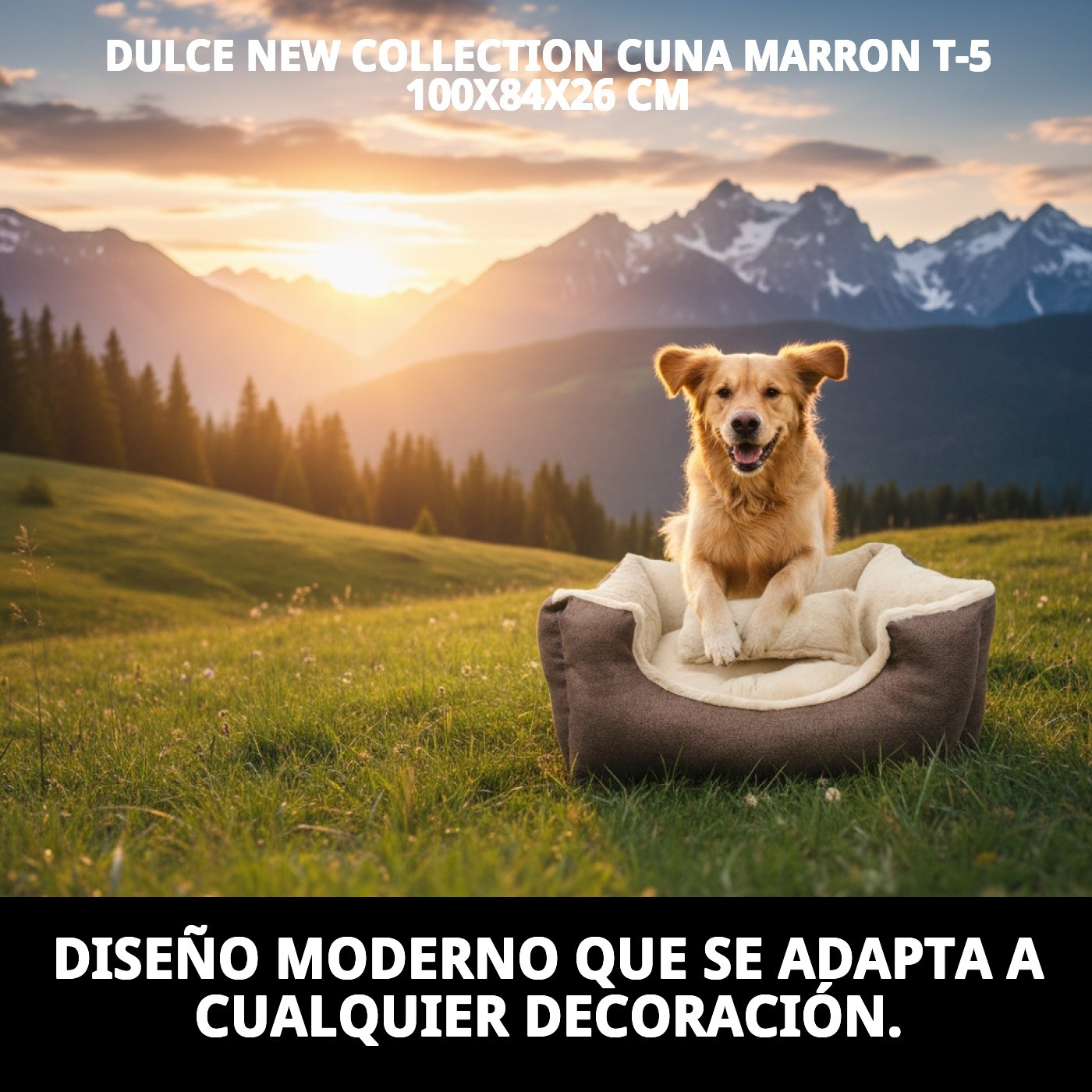 DULCE NEW COLLECTION CUNA MARRON T-5 100X84X26 CM