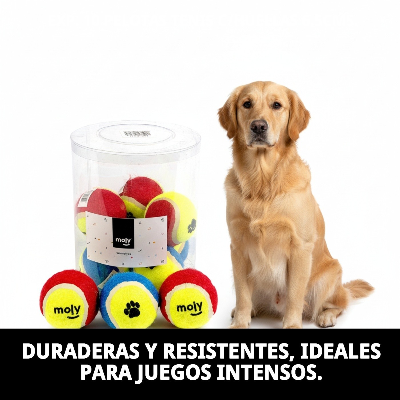 EXP. 10 PELOTAS TENIS C/HUELLAS 6.5CMS