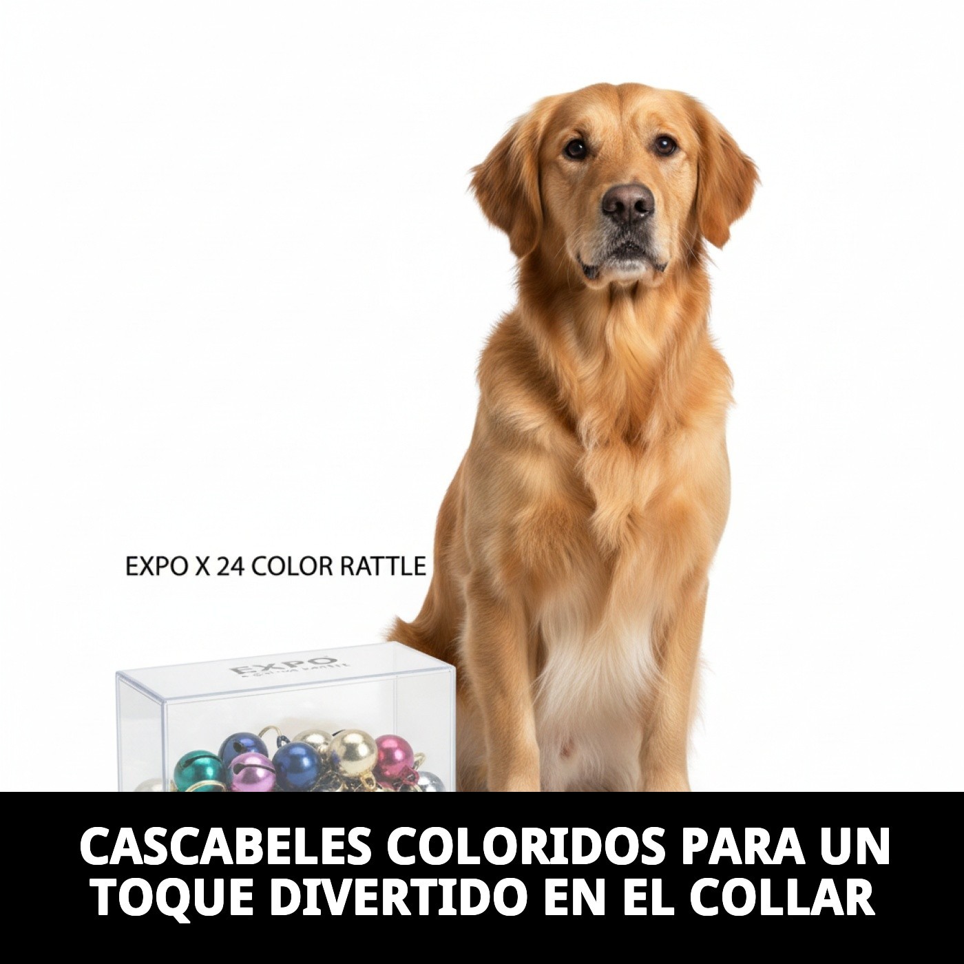 Expositor de 24 Cascabeles para Collar con Sonido | Colores Surtidos para Perros y Gatos – Moly