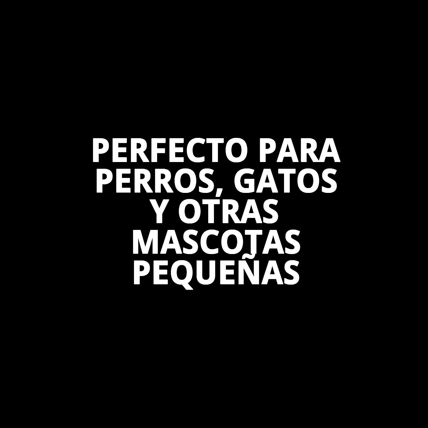 Expositor de 24 Cascabeles para Collar con Sonido | Colores Surtidos para Perros y Gatos – Moly