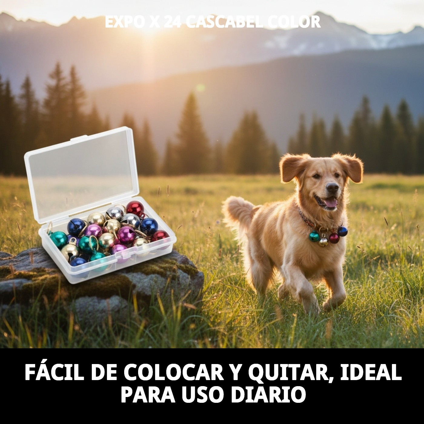 Expositor de 24 Cascabeles para Collar con Sonido | Colores Surtidos para Perros y Gatos – Moly