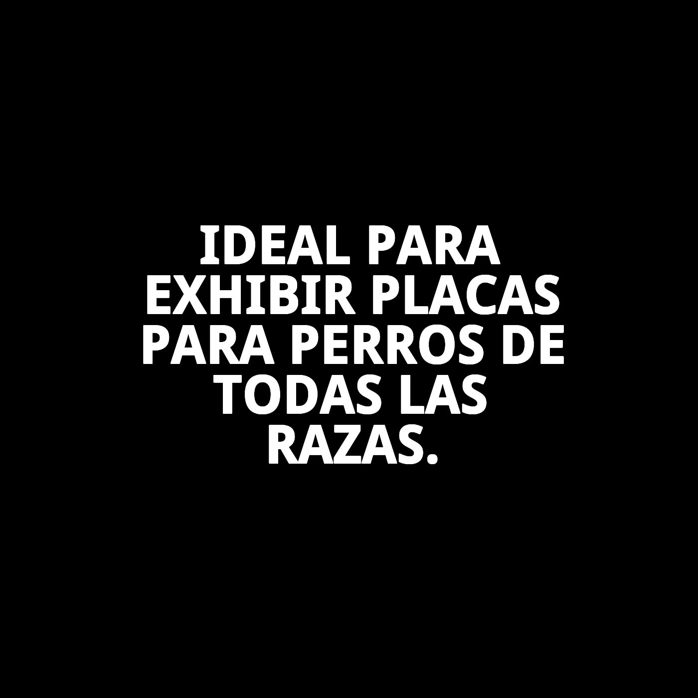 Expositor de 24 Placas Identificativas con Huella | Accesorios para Mascotas – Moly