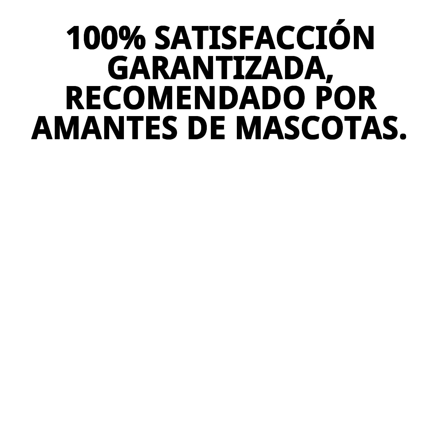 Expositor de 24 Placas Identificativas con Huella | Accesorios para Mascotas – Moly