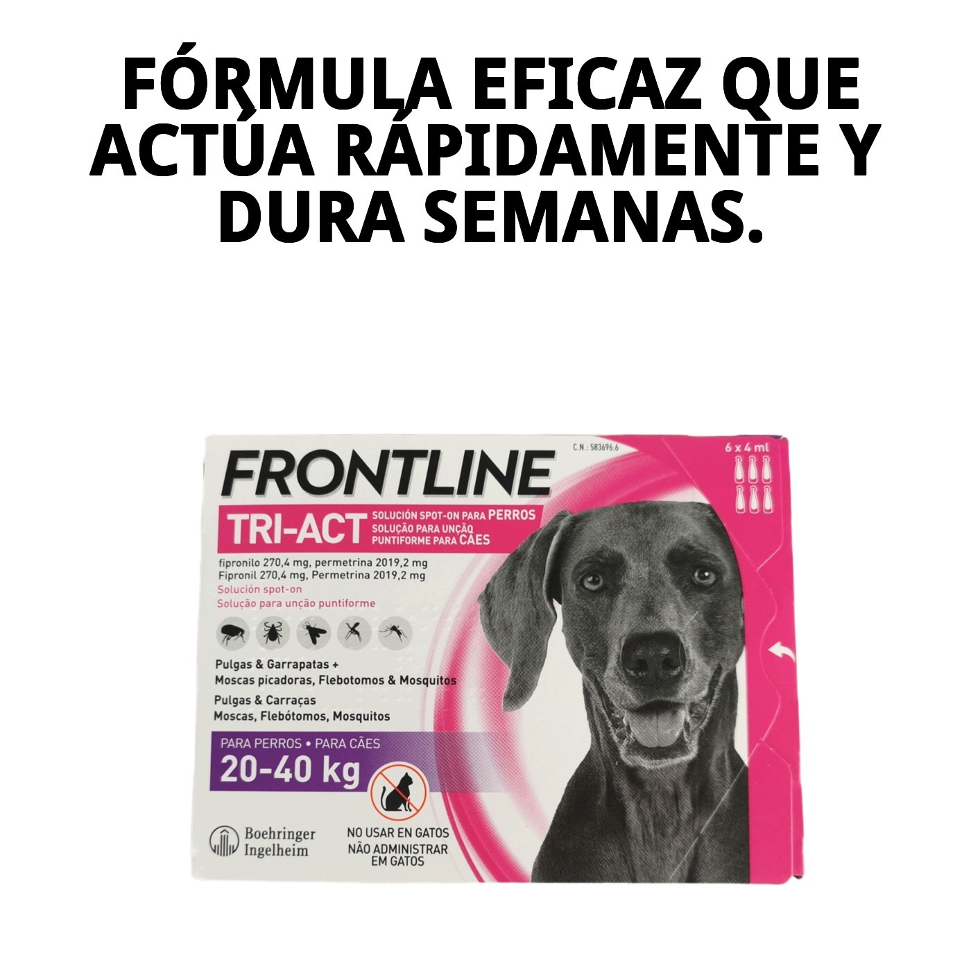 FRONTLINE TRI-ACT 10-20 KG (M) 6 PIPETAS