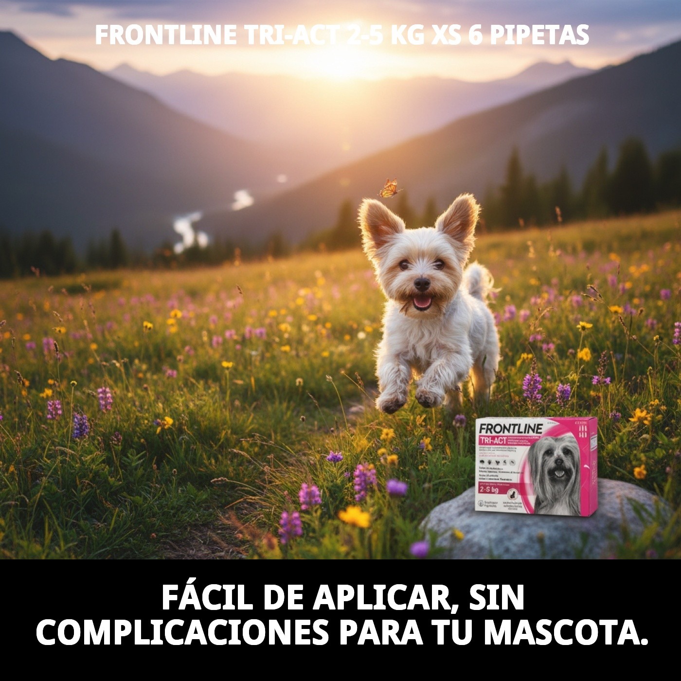 FRONTLINE TRI-ACT 2-5 KG XS  6 PIPETAS