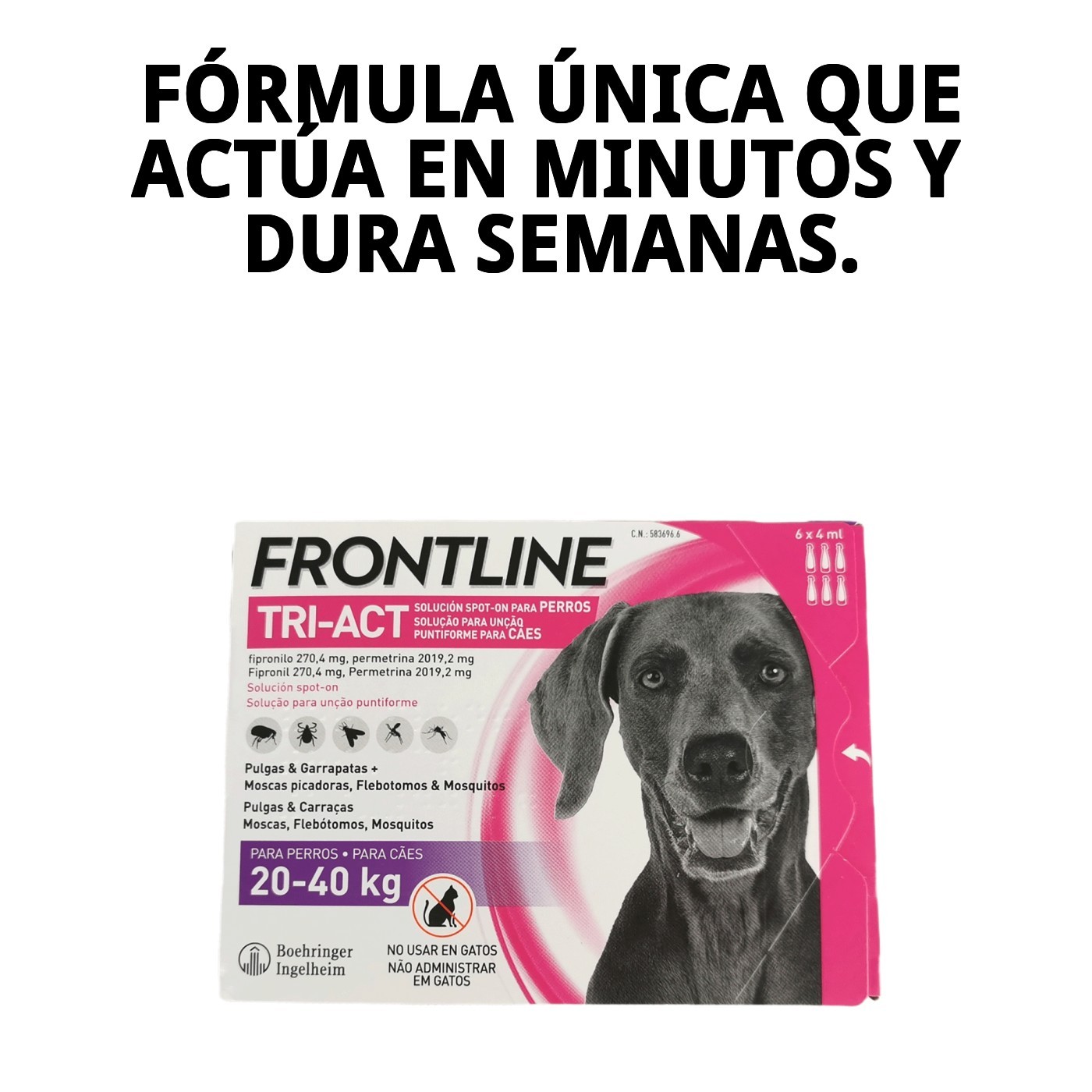 FRONTLINE TRI-ACT 20-40 KG (L)  6 PIPETAS