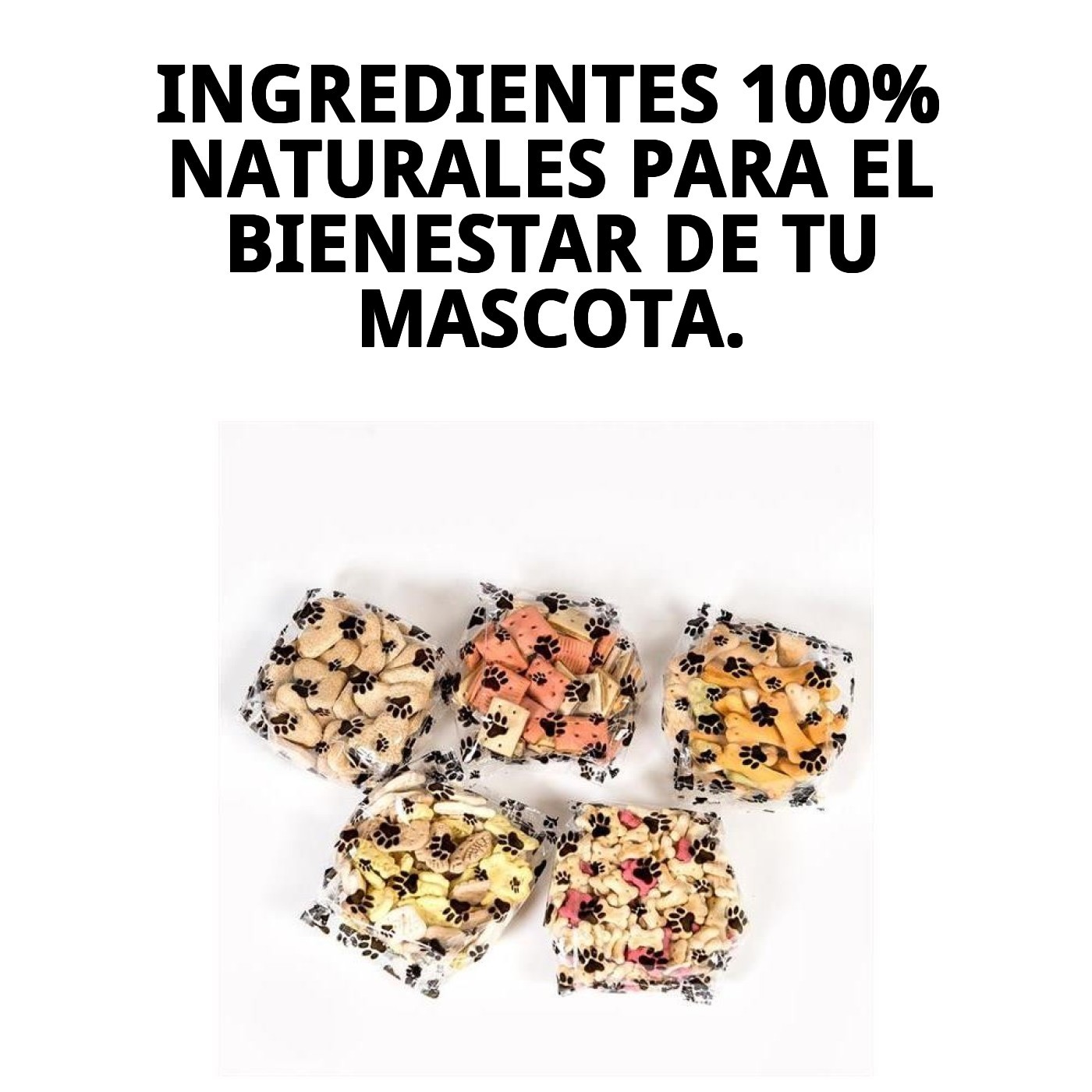 Galletas Gourmet Vegetal Natural 200 g Moly | Snack Saludable y Ligero para Perros