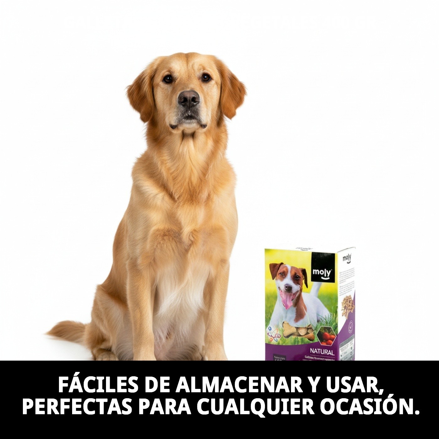 Galletas Gourmet Vegetales 400 g | Snack Natural, Ligero y Saludable para Perros – Moly
