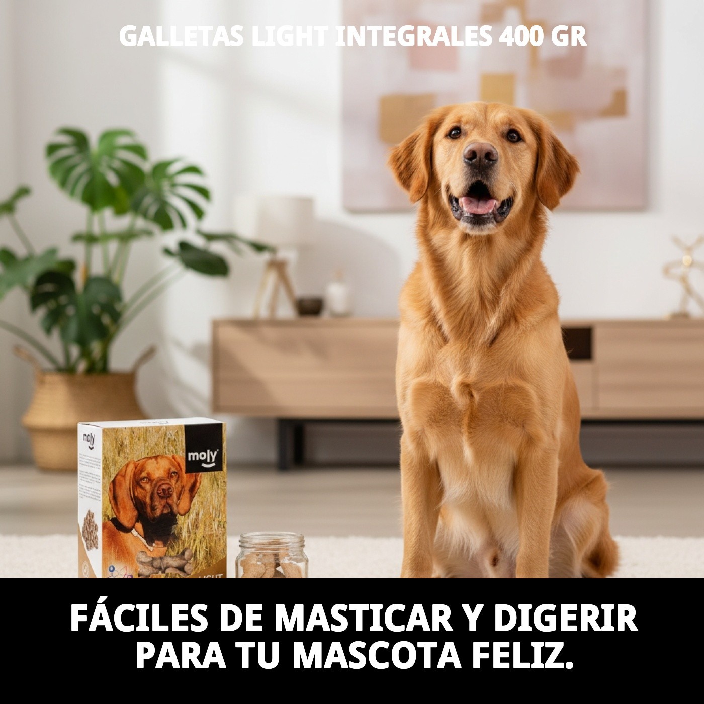 GALLETAS LIGHT INTEGRALES 400 GR