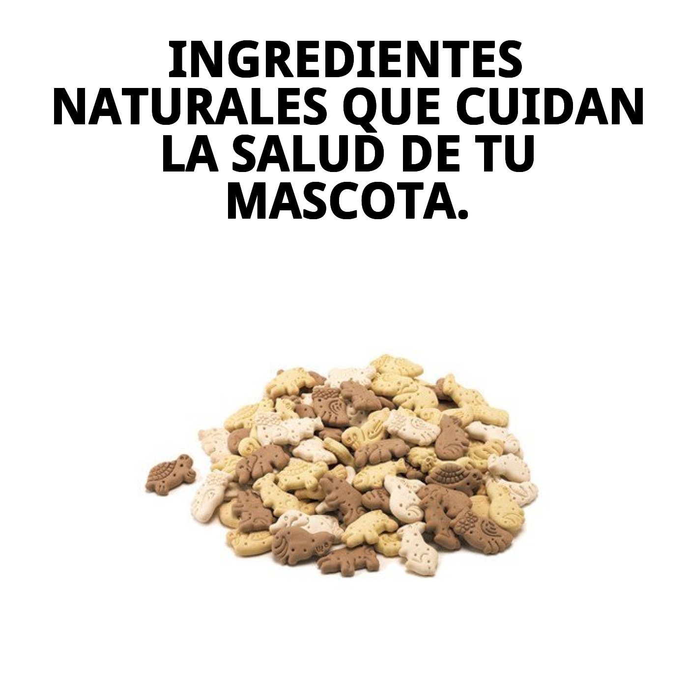 Galletas Mini Mix Granja 2 kg en Granel | Snack Variado y Crujiente para Perros – Moly