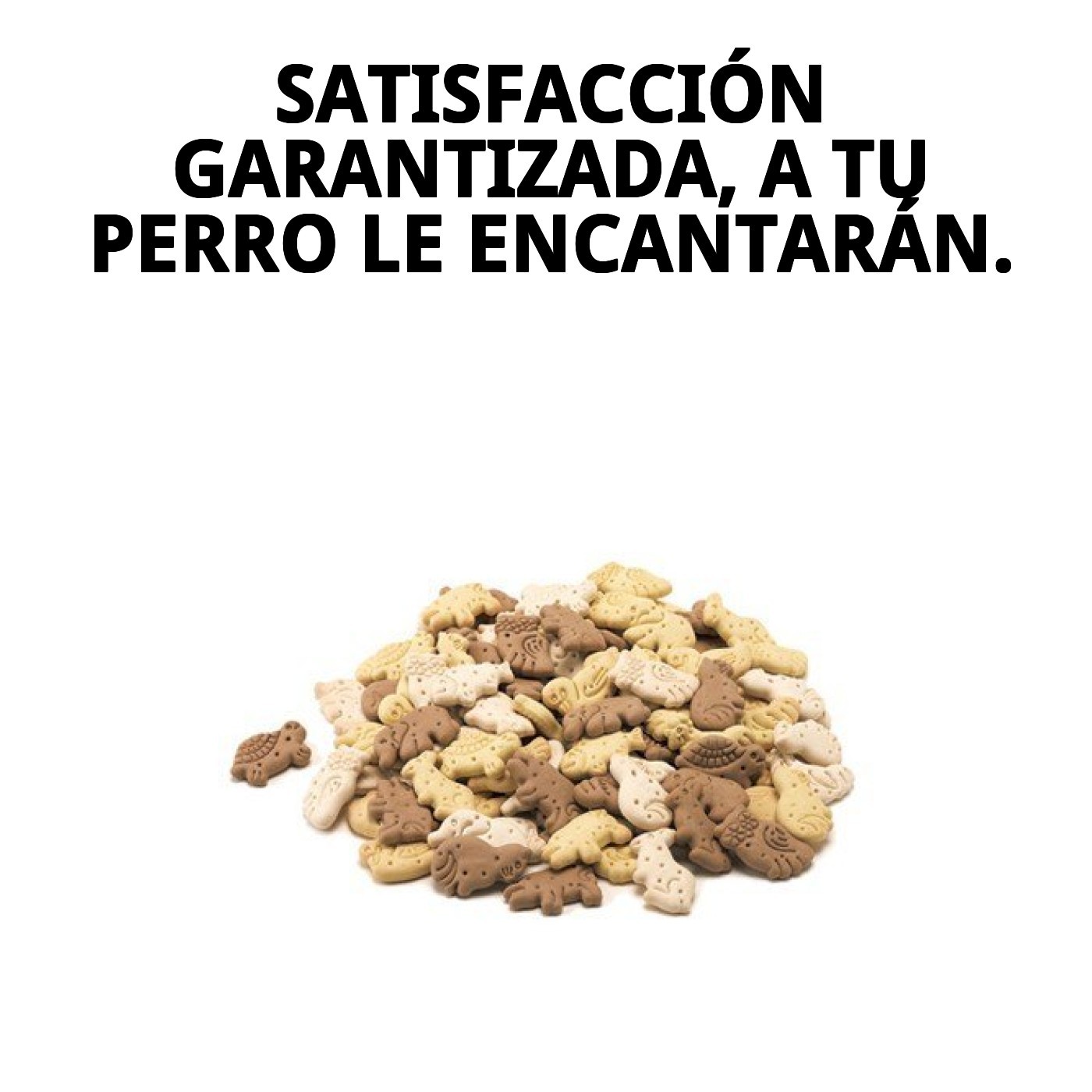 Galletas Mini Mix Granja 2 kg en Granel | Snack Variado y Crujiente para Perros – Moly