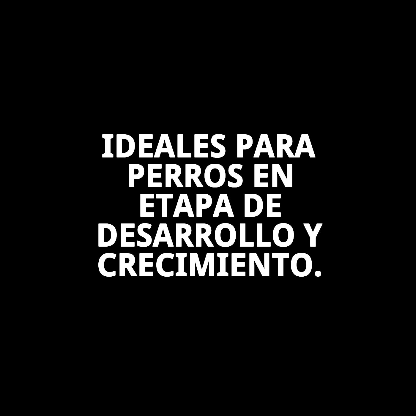 Galletas Puppy 2 kg en Granel | Snack Suave y Nutritivo para Cachorros – Moly