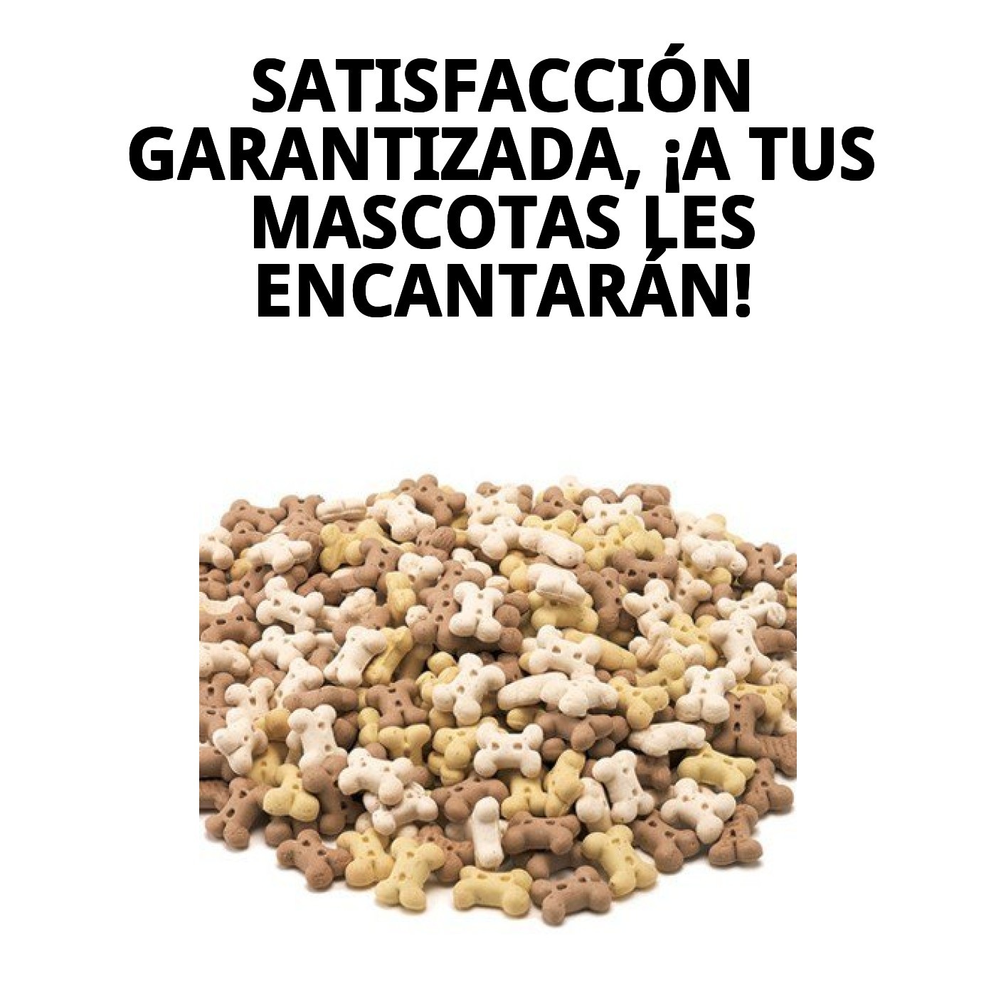 Galletas Puppy 2 kg en Granel | Snack Suave y Nutritivo para Cachorros – Moly