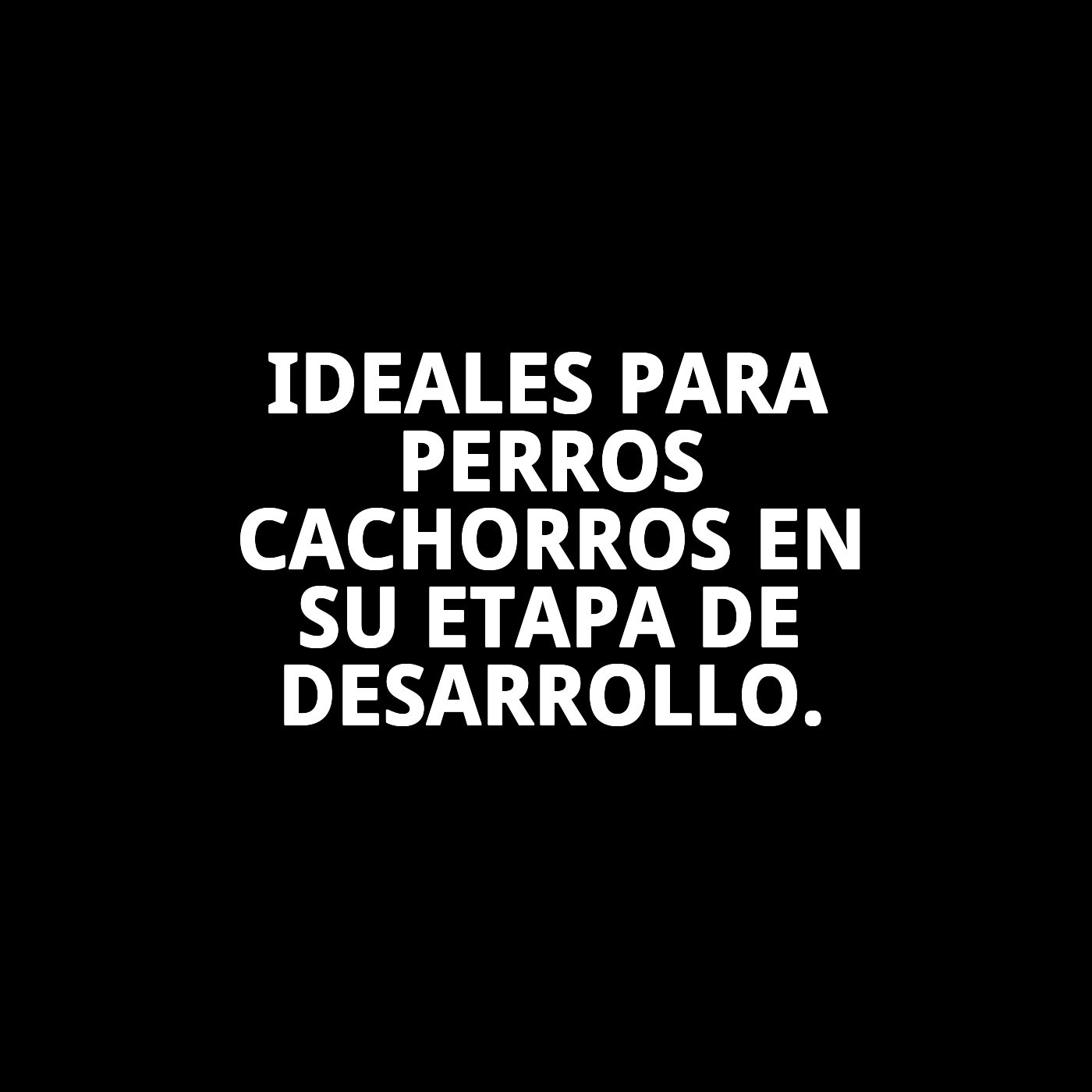 Galletas Puppy 200 g | Snack Suave y Nutritivo para Cachorros – Moly