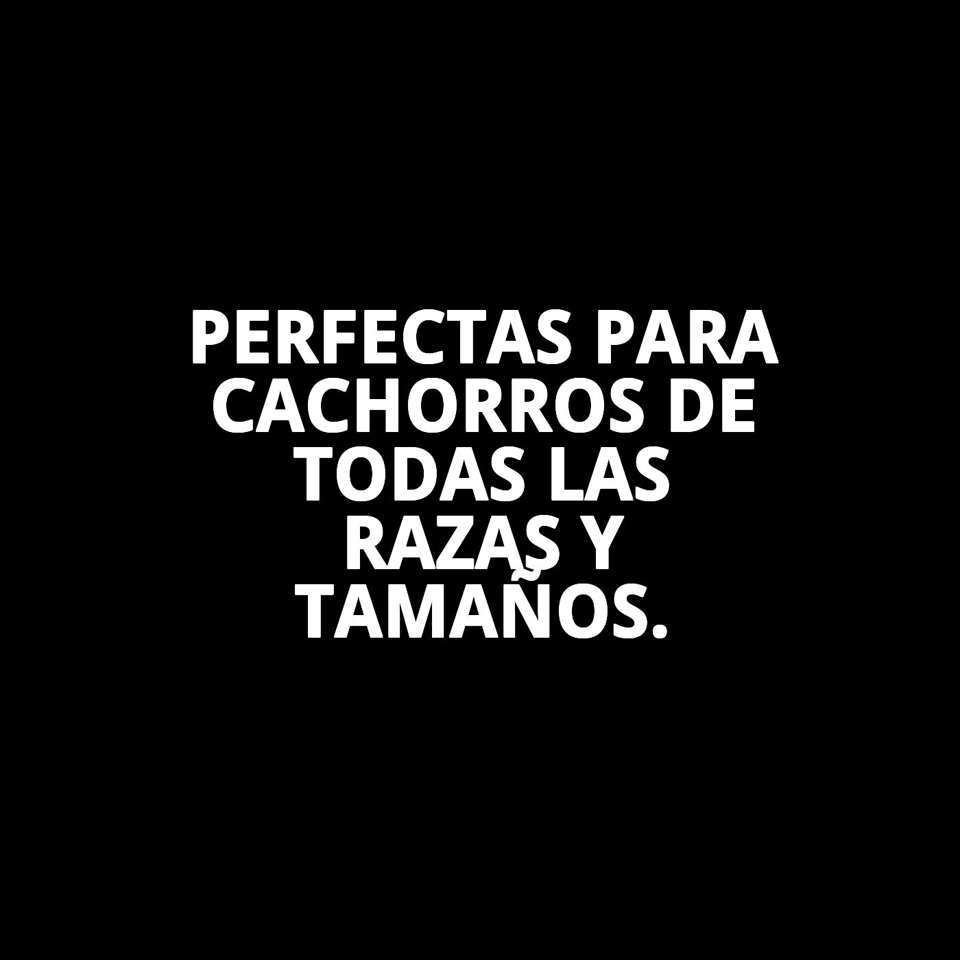 Galletas Puppy 400 g Moly | Snack Suave y Nutritivo para Cachorro