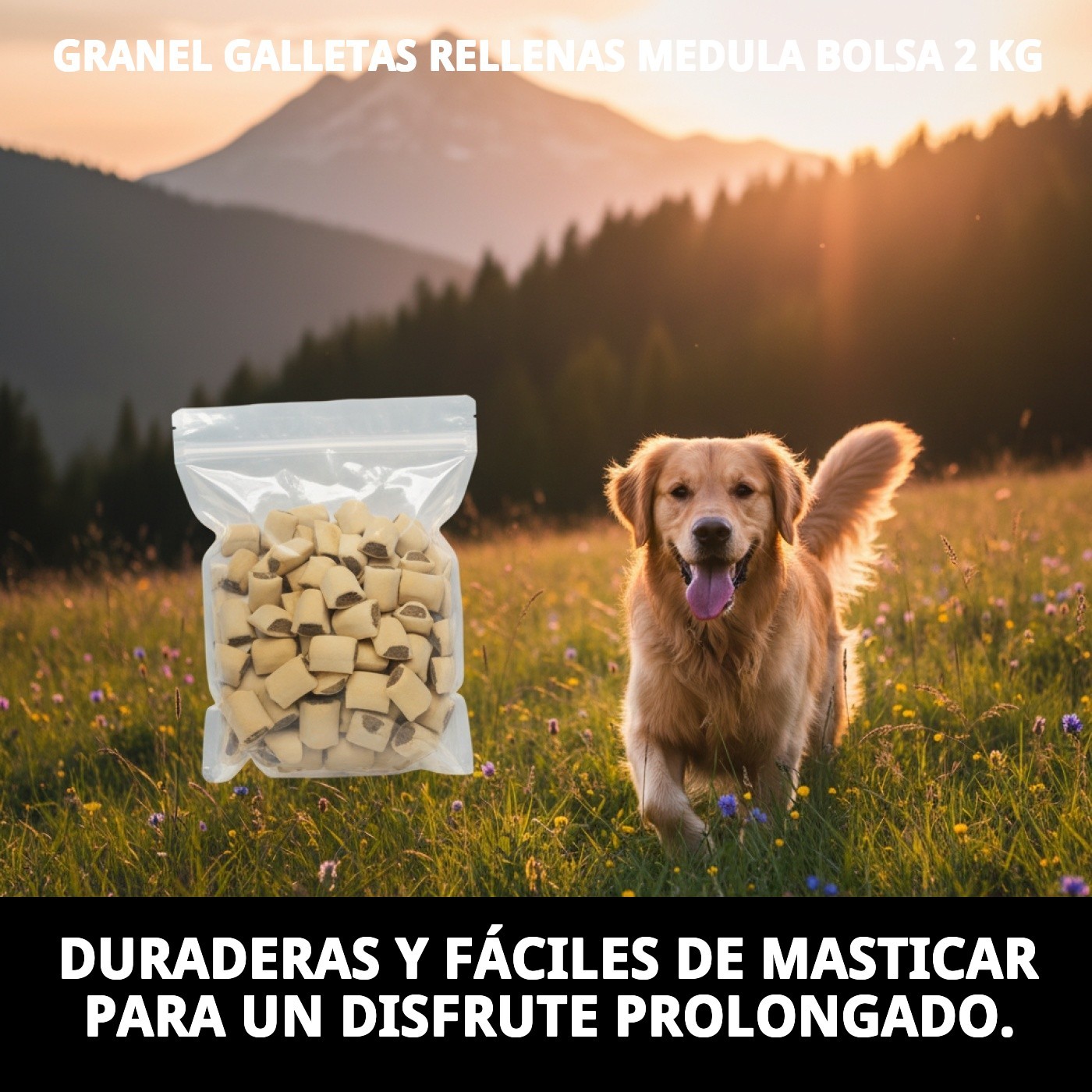Galletas Rellenas de Médula 2 kg en Granel | Snack Crujiente y Nutritivo para Perros – Moly