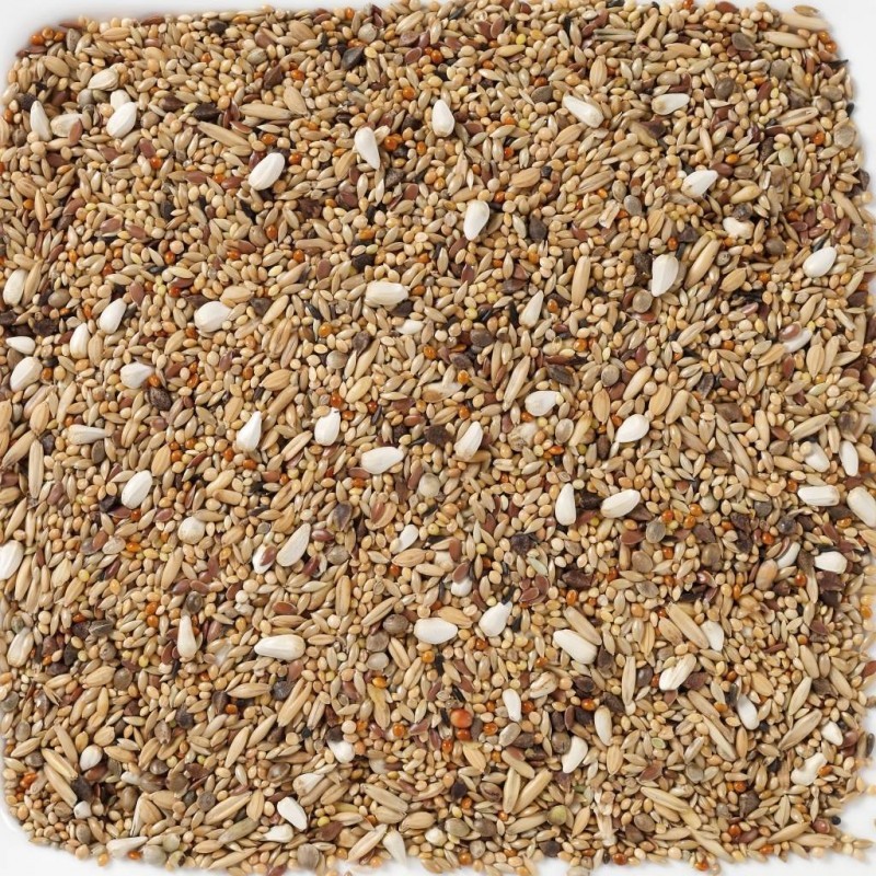 GRANDES PERIQUITOS SIN GIRASOLES 20 KG-CACATUAS