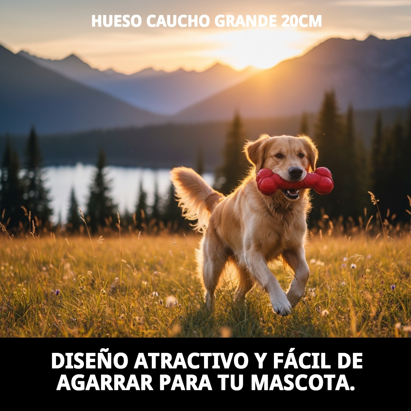 HUESO CAUCHO GRANDE 20cm