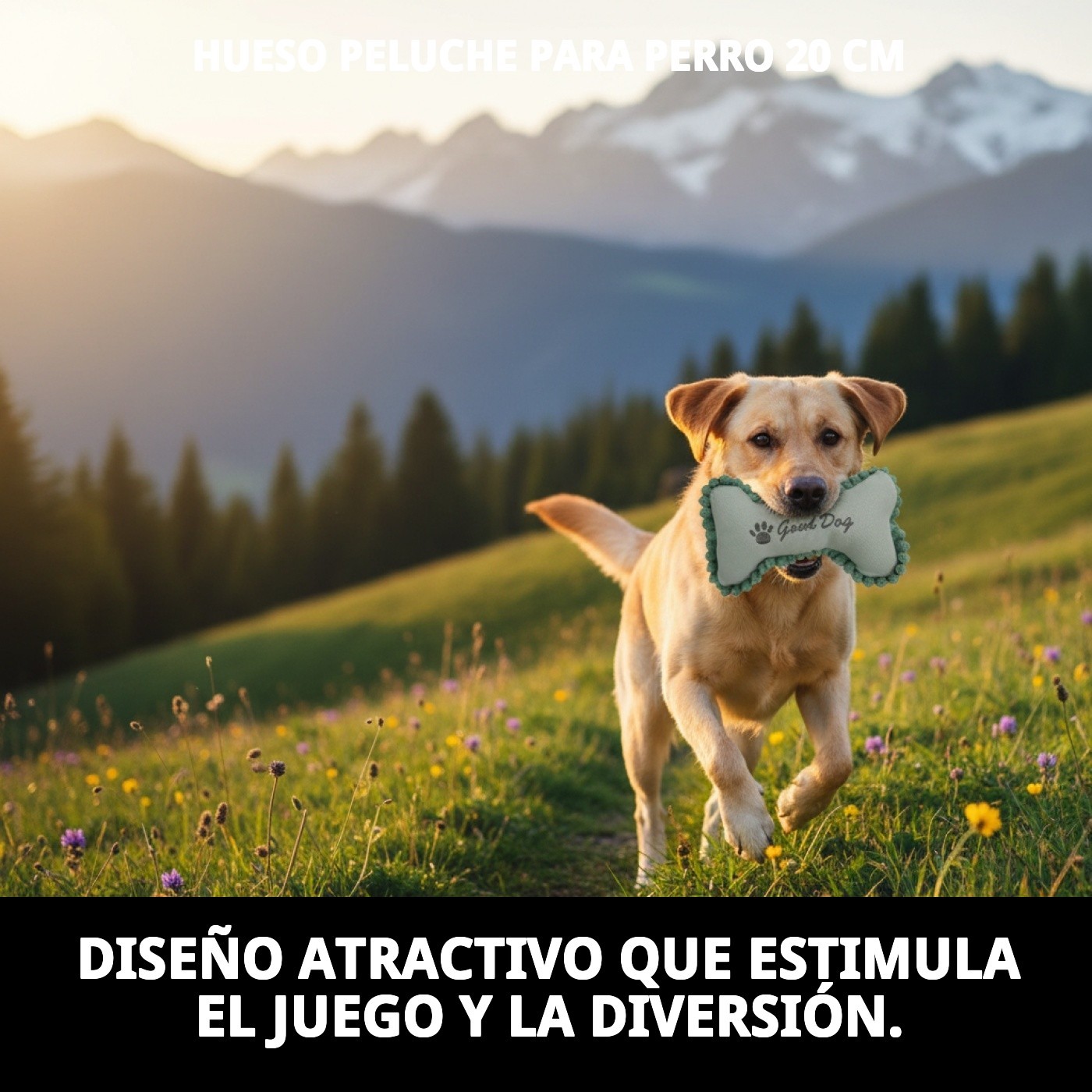 Hueso de Peluche para Perros 20 cm Moly | Juguete Suave, Resistente y con Sonido