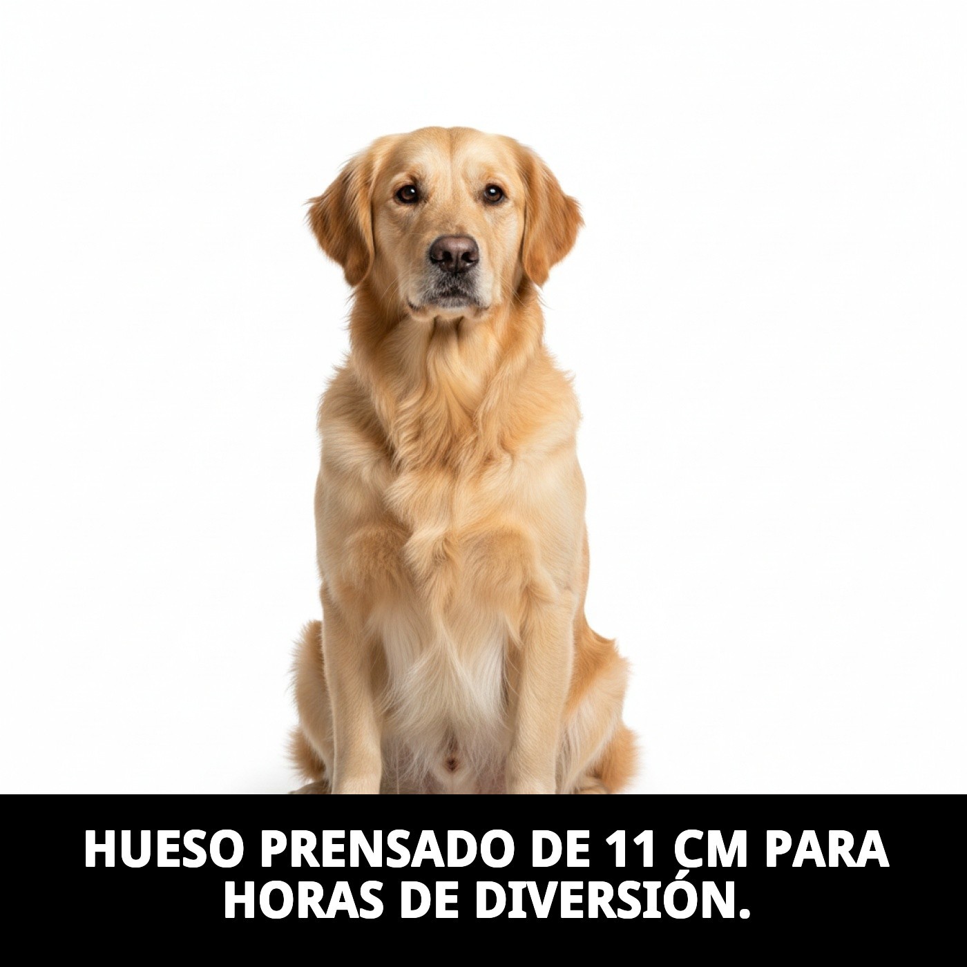 Hueso Prensado 11 cm P-2 Moly | Snack Natural y Duradero para Perros Pequeños y Medianos