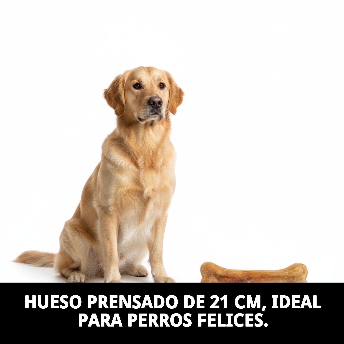 Hueso Prensado 21 cm Moly | Snack Natural y Duradero para Perros de Tamaño Medio