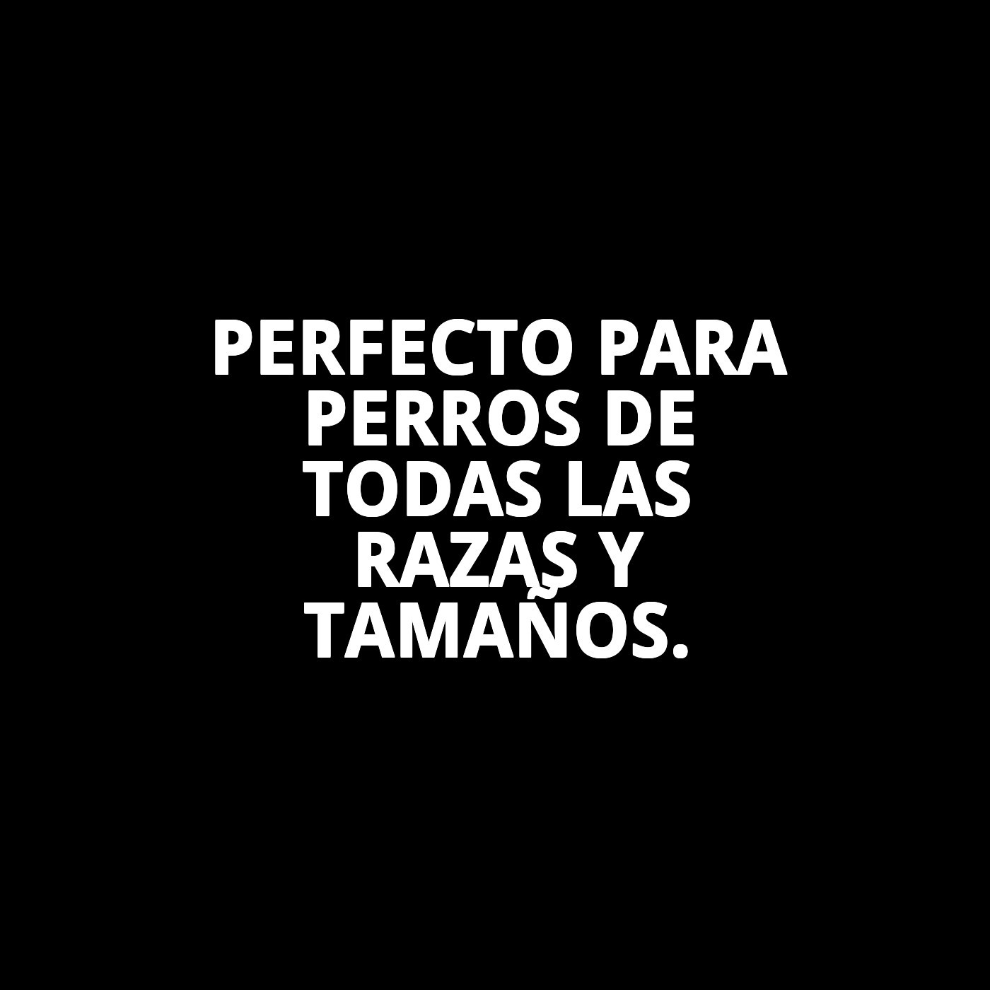 Hueso Prensado 26 cm Moly | Snack Natural y Resistente para Perros Medianos y Grandes