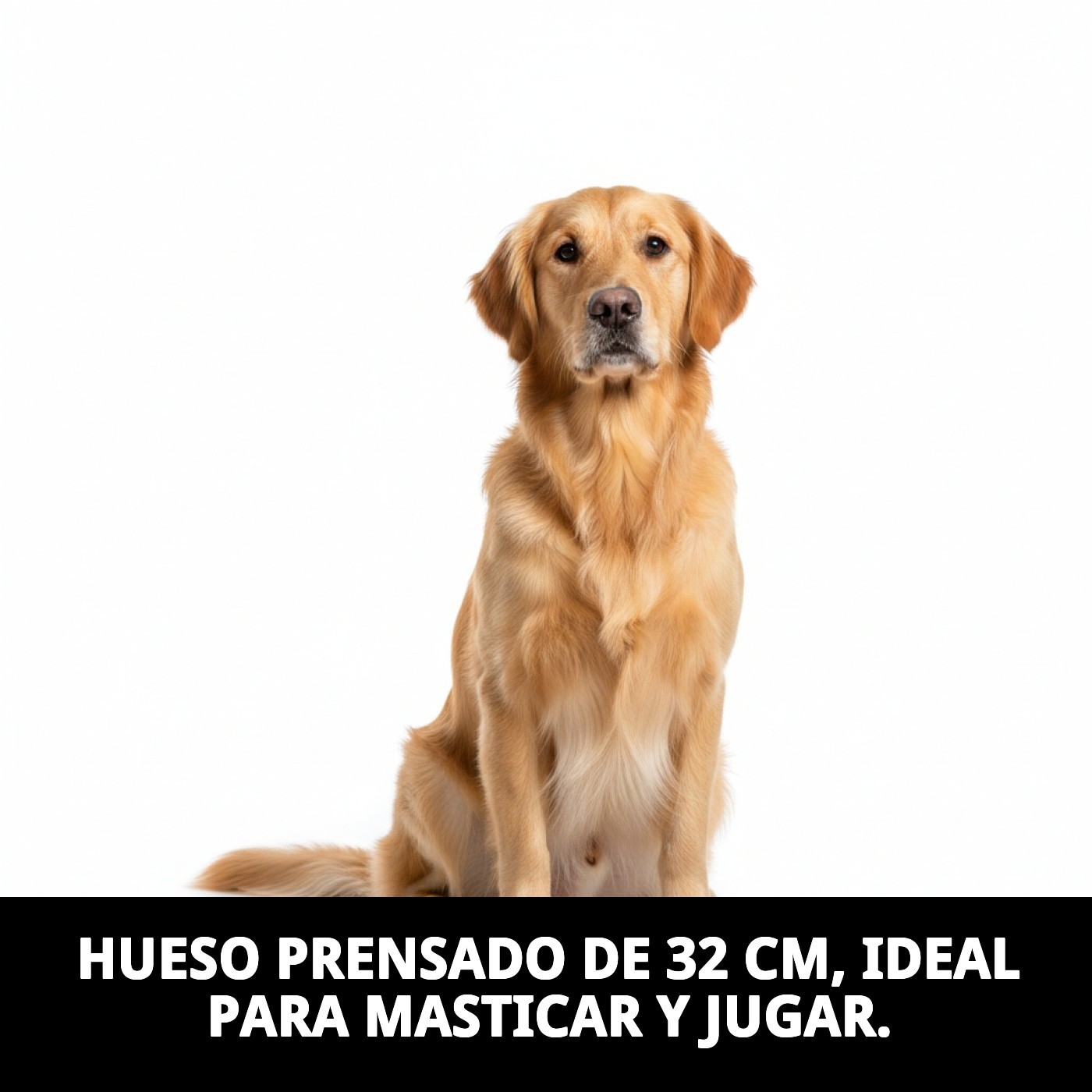 Hueso Prensado 32 cm Moly | Masticación Duradera y 100% Natural para Perros Medianamente Grandes