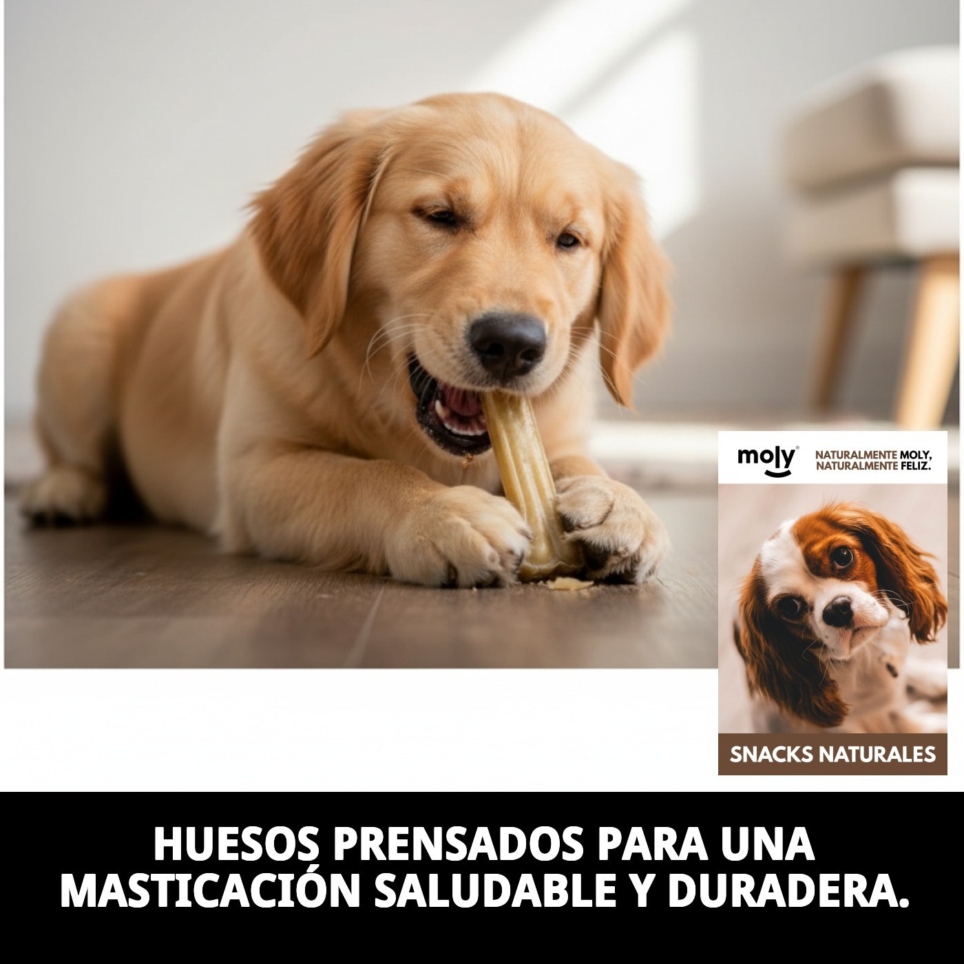 Huesos Prensados 11 cm en Bolsa de 20 Unidades | Snack Natural para Perros Pequeños – Moly