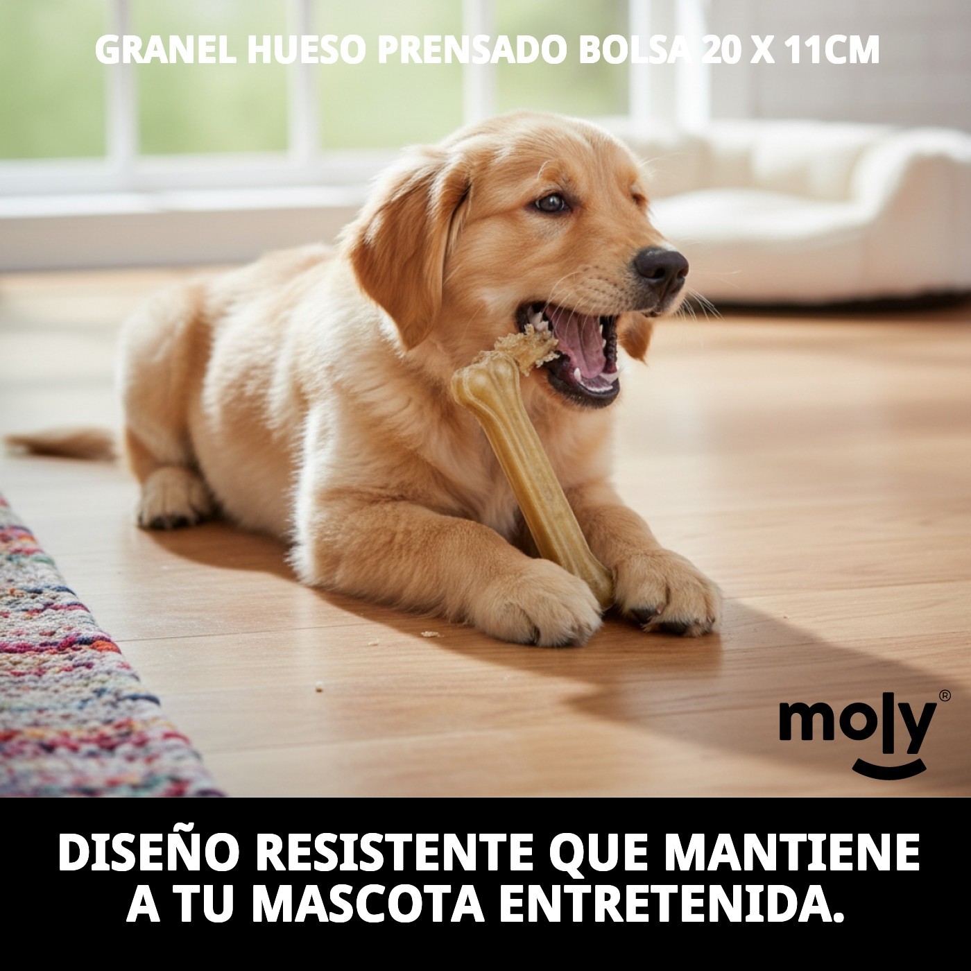 Huesos Prensados 11 cm en Bolsa de 20 Unidades | Snack Natural para Perros Pequeños – Moly
